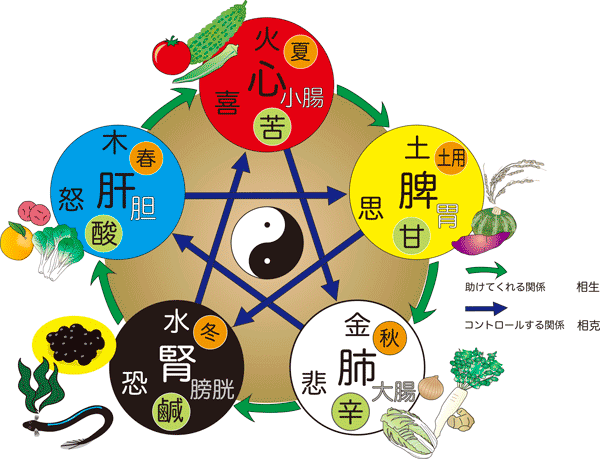 陰陽五行を深く学んで