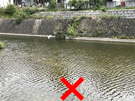 �͐�̋߂��͋���