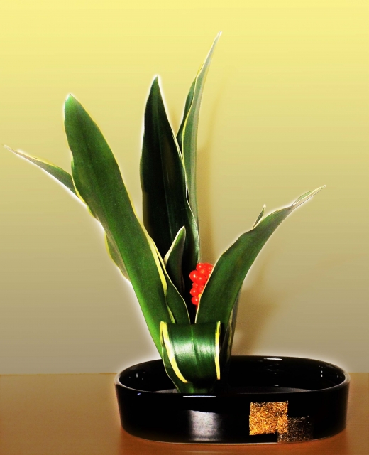 �������P�ɖ��N��