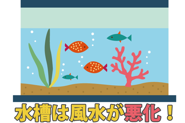 �����͕���������������