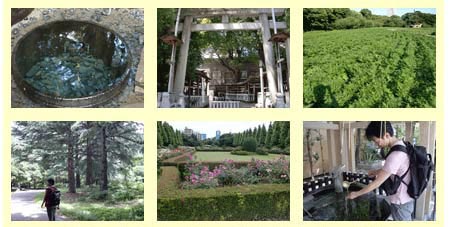 �g���ʎ��Ӓ�